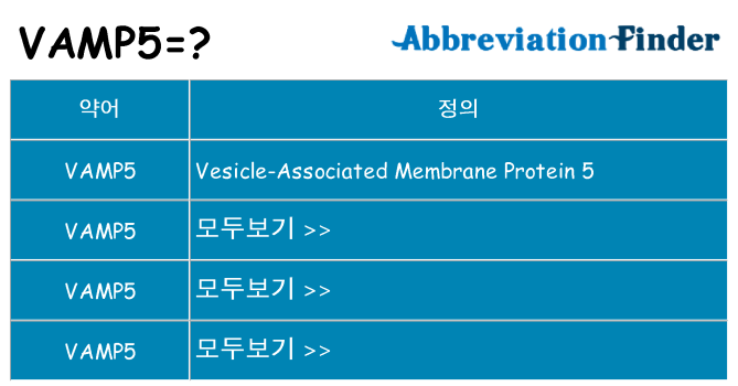 vamp5 대 한 무엇을 서가