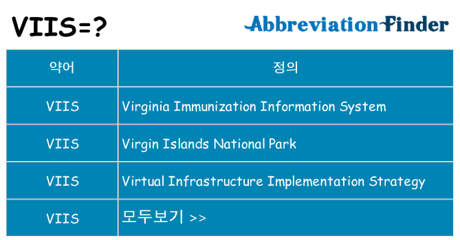viis 대 한 무엇을 서가