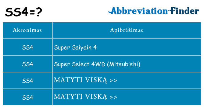 Ką ss4 stovėti