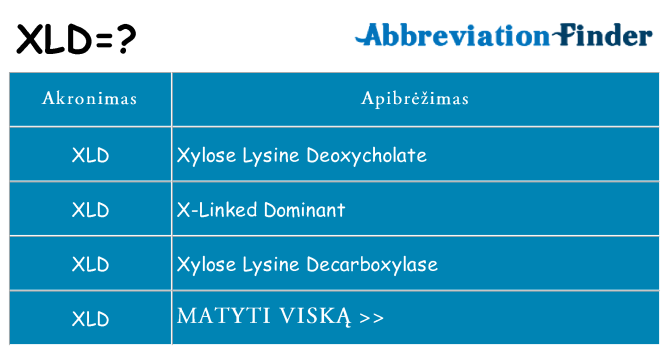 Ką xld stovėti