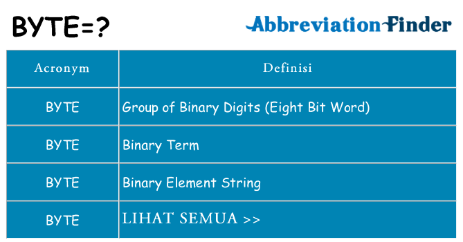 Apa yang tidak byte berdiri untuk