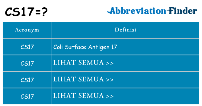 Apa yang tidak cs17 berdiri untuk