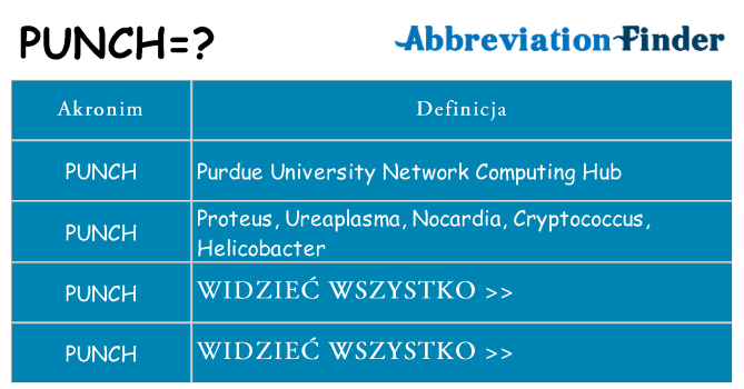 Co punch oznaczać