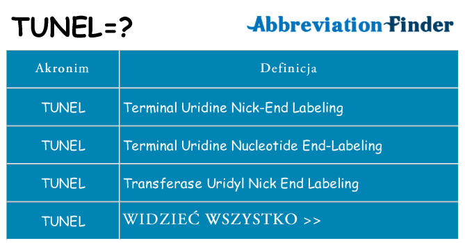 Co tunel oznaczać