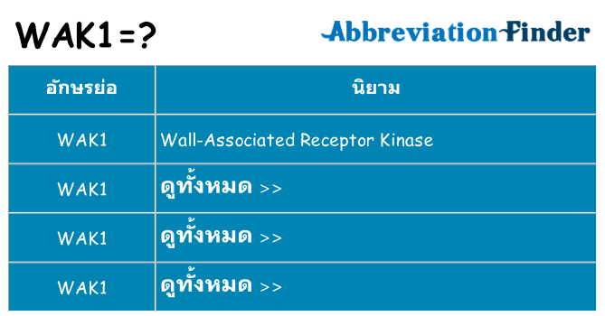 อะไรไม่ wak1 ถึง