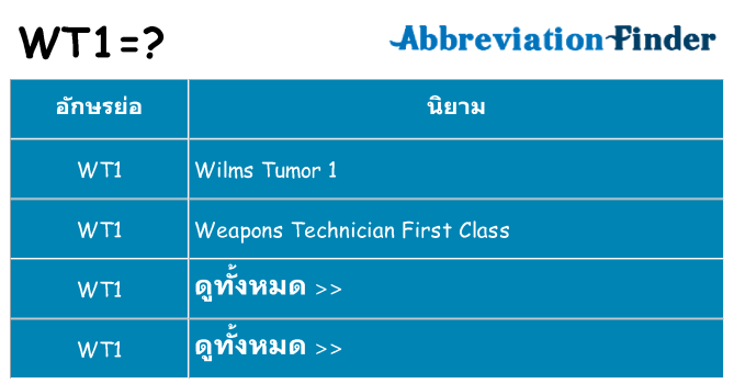 อะไรไม่ wt1 ถึง