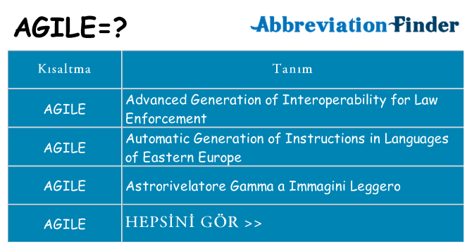 agile ne anlama geliyor