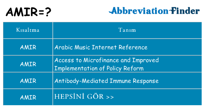 amir ne anlama geliyor