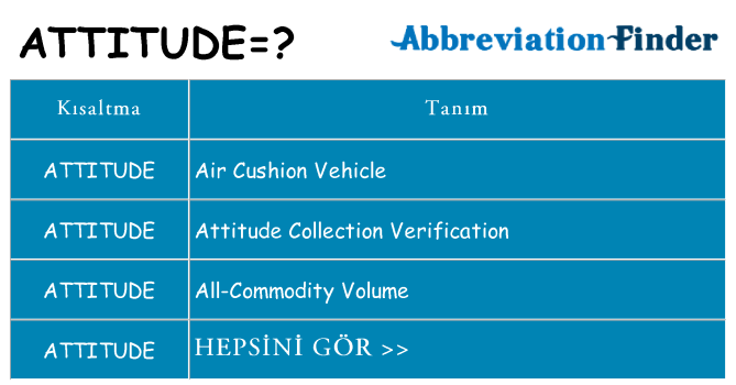 attitude ne anlama geliyor