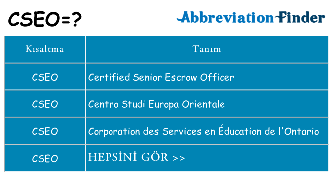 cseo ne anlama geliyor