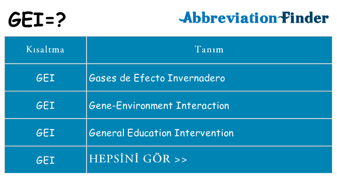 gei ne anlama geliyor