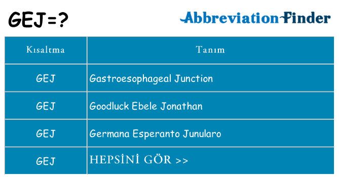 gej ne anlama geliyor