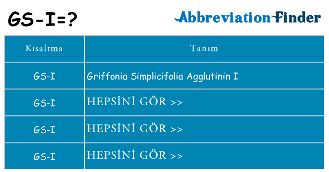 gs-i ne anlama geliyor