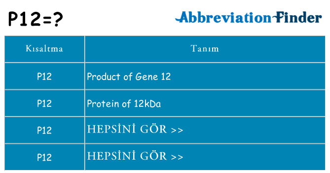 p12 ne anlama geliyor