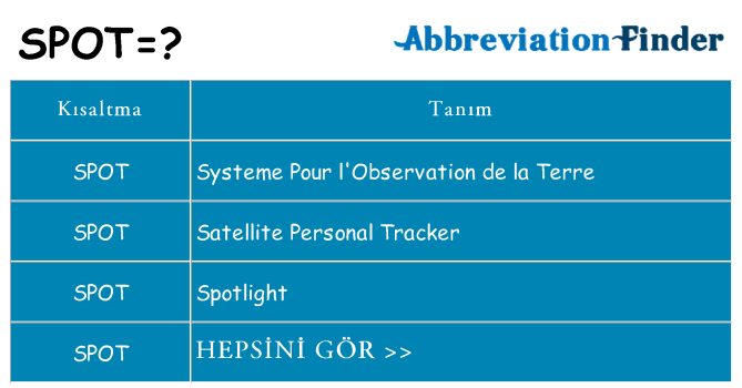 spot ne anlama geliyor