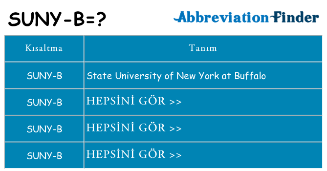 suny-b ne anlama geliyor