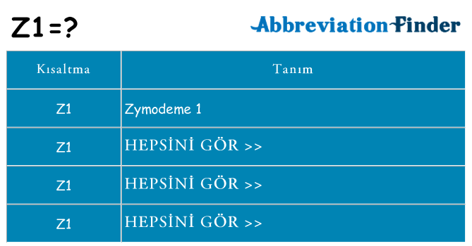 z1 ne anlama geliyor
