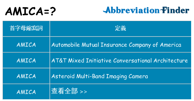 amica 代表什麼