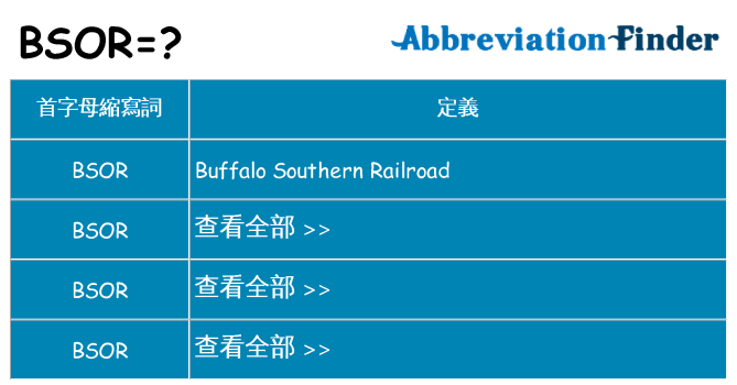 bsor 代表什麼