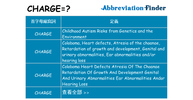 charge 代表什麼