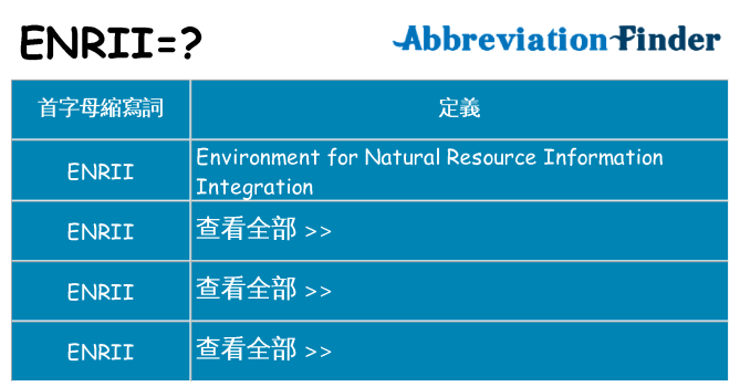 enrii 代表什麼