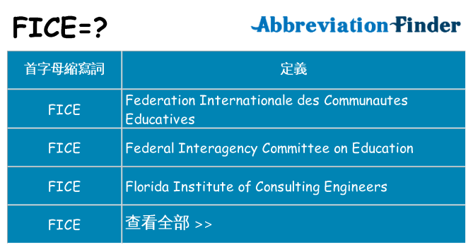 fice 代表什麼