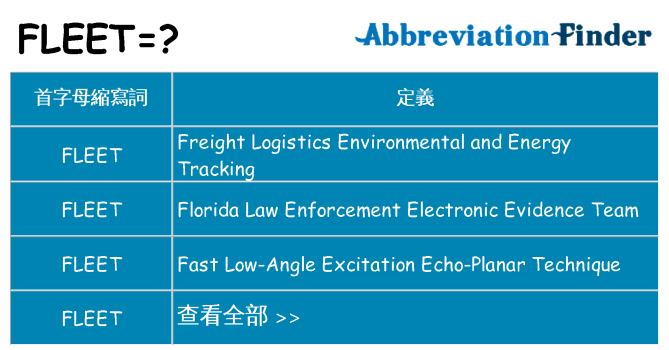 fleet 代表什麼