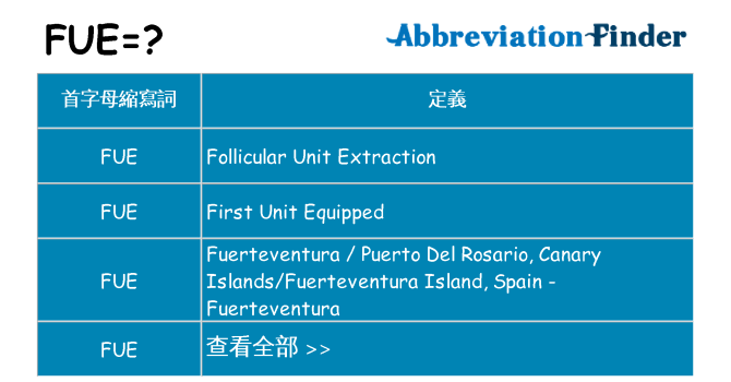 fue 代表什麼