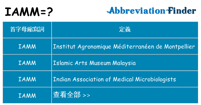 iamm 代表什麼