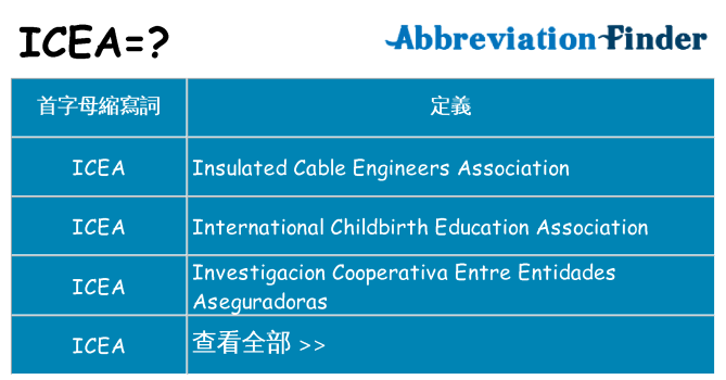 icea 代表什麼