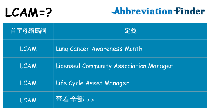 lcam 代表什麼