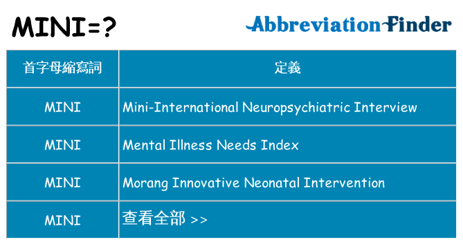 mini 代表什麼