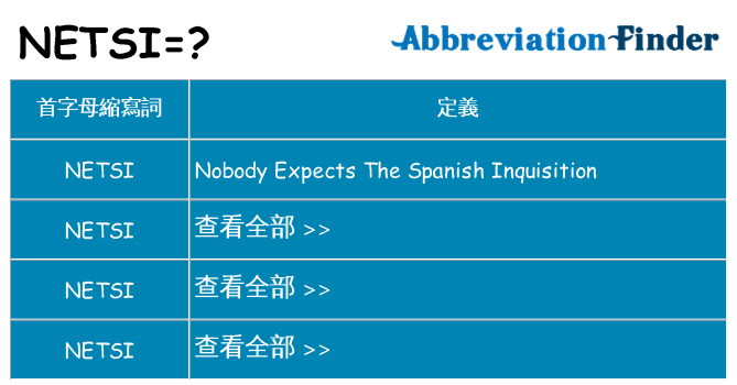netsi 代表什麼
