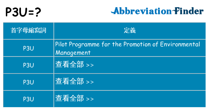 p3u 代表什麼