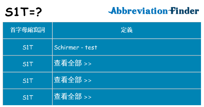 s1t 代表什麼