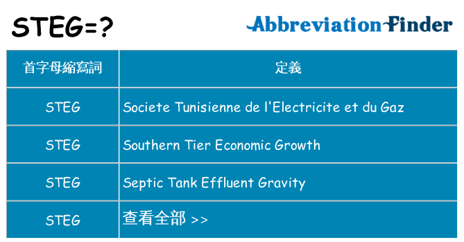steg 代表什麼