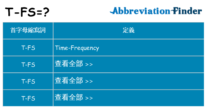 t-fs 代表什麼