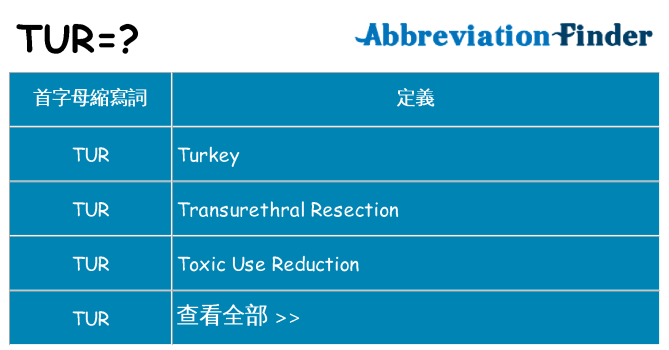 tur 代表什麼