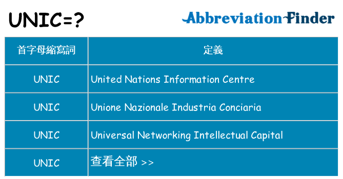 unic 代表什麼