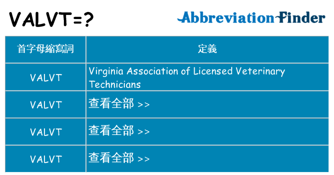 valvt 代表什麼