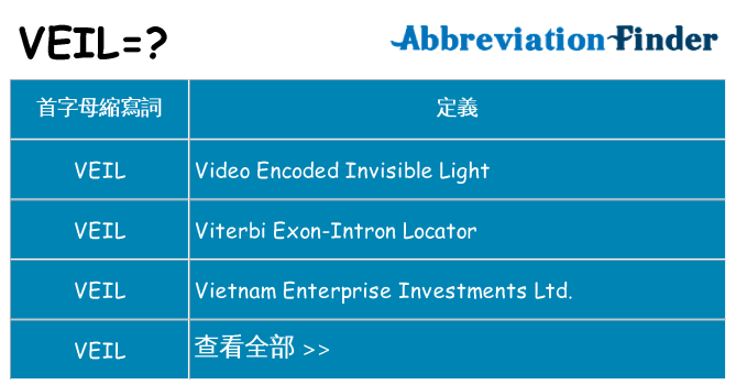 veil 代表什麼