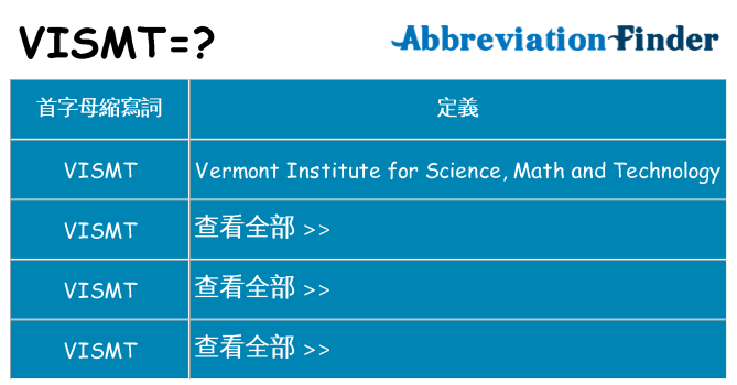 vismt 代表什麼