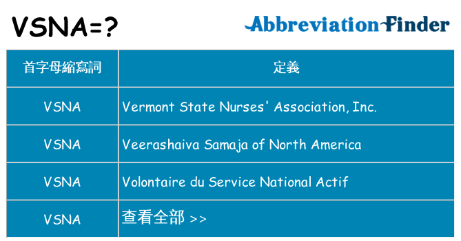 vsna 代表什麼