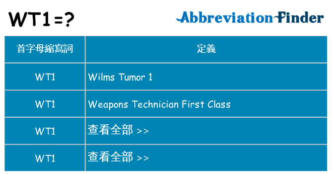 wt1 代表什麼
