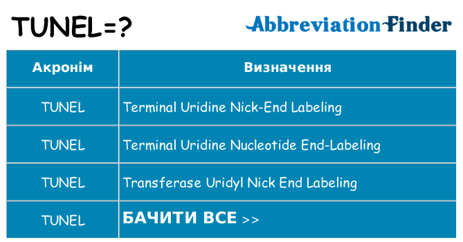 Що tunel означають