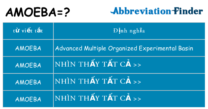 amoeba hiện những gì đứng cho