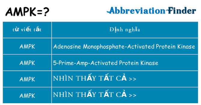 ampk hiện những gì đứng cho