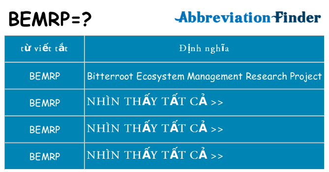 bemrp hiện những gì đứng cho
