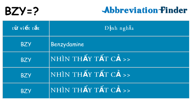 bzy hiện những gì đứng cho