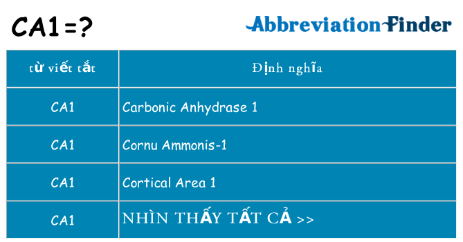 ca1 hiện những gì đứng cho